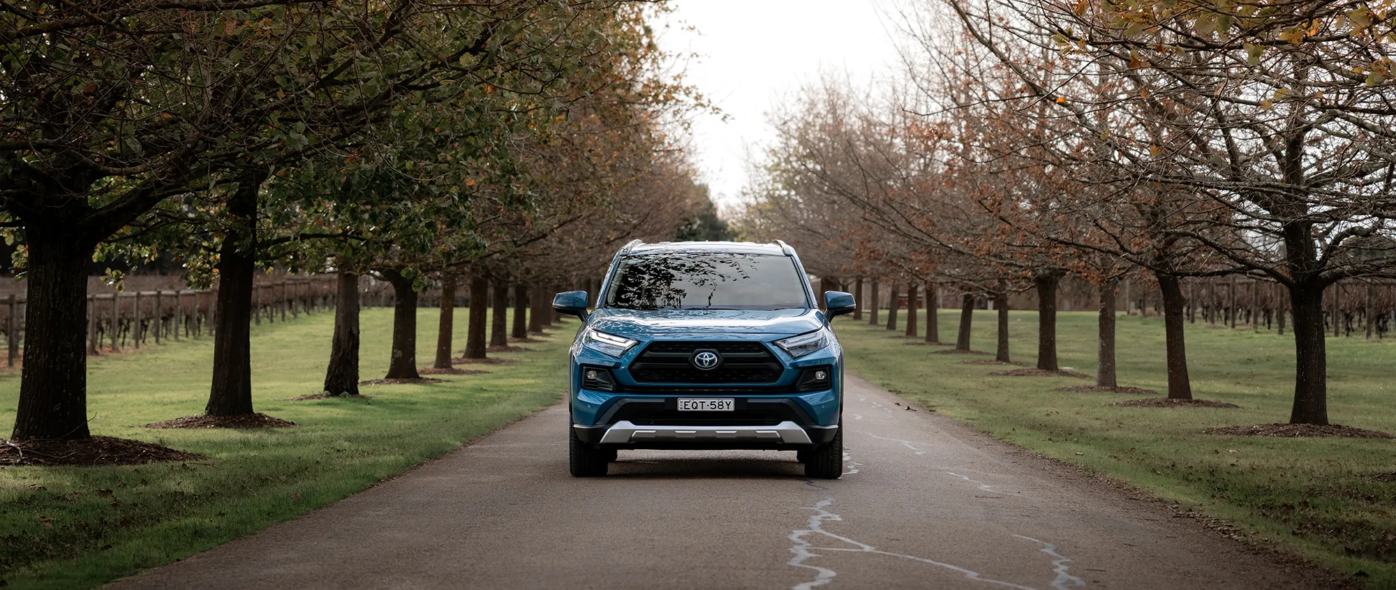 Capped Price Service Content